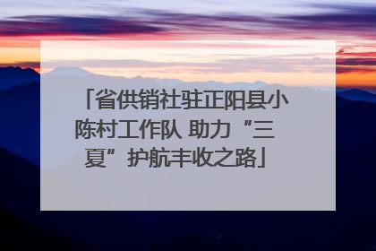 省供销社驻正阳县小陈村工作队 助力“三夏”护航丰收之路