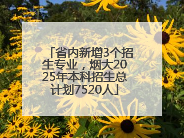 省内新增3个招生专业，烟大2025年本科招生总计划7520人