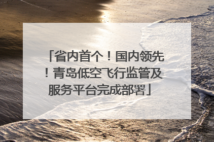 省内首个！国内领先！青岛低空飞行监管及服务平台完成部署