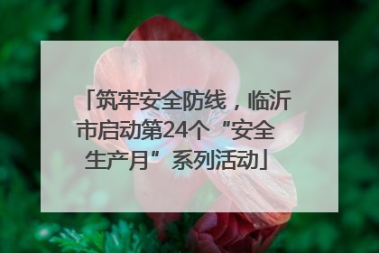 筑牢安全防线，临沂市启动第24个“安全生产月”系列活动