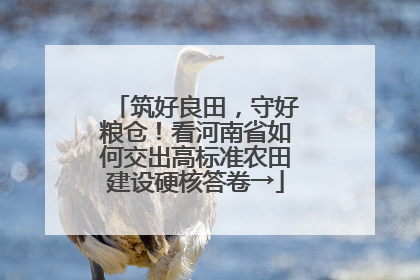 筑好良田，守好粮仓！看河南省如何交出高标准农田建设硬核答卷→