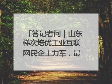 答记者问｜山东梯次培优工业互联网民企主力军，最高一次性奖补500万元