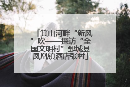 箕山河畔“新风”吹——探访“全国文明村”鄄城县凤凰镇酒店张村