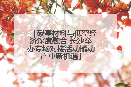 碳基材料与低空经济深度融合 长沙举办专场对接活动撬动产业新机遇