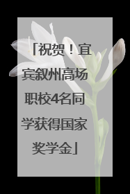 祝贺！宜宾叙州高场职校4名同学获得国家奖学金