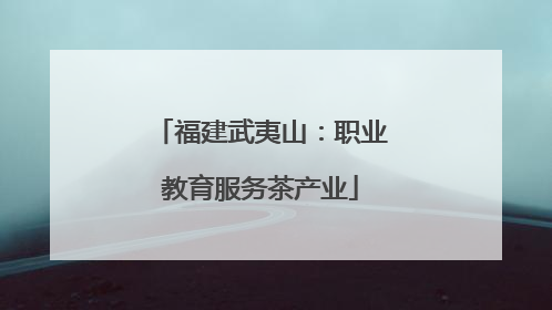福建武夷山：职业教育服务茶产业