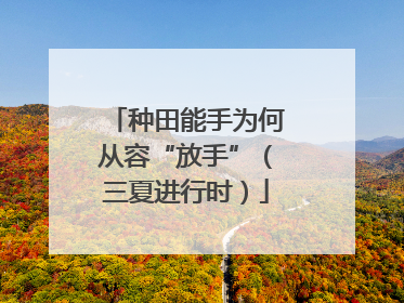 种田能手为何从容“放手”（三夏进行时）