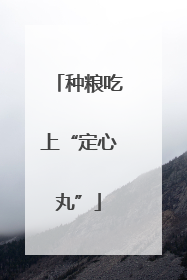 种粮吃上“定心丸”