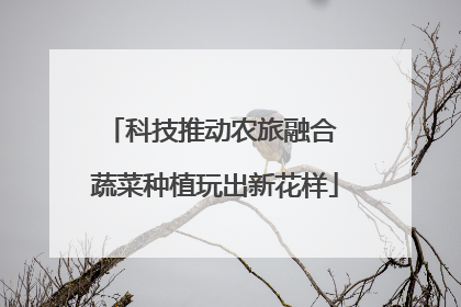 科技推动农旅融合 蔬菜种植玩出新花样