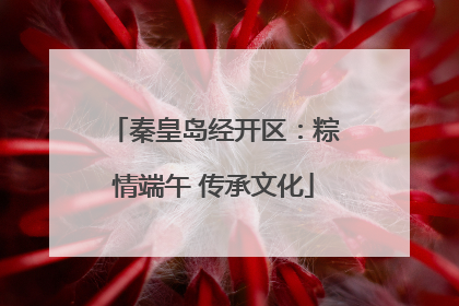 秦皇岛经开区：粽情端午 传承文化