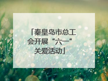 秦皇岛市总工会开展“六一”关爱活动