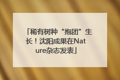 稀有树种“抱团”生长！沈阳成果在Nature杂志发表