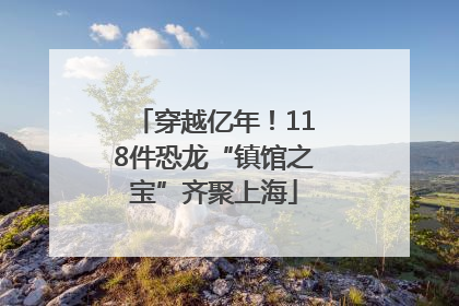 穿越亿年！118件恐龙“镇馆之宝”齐聚上海