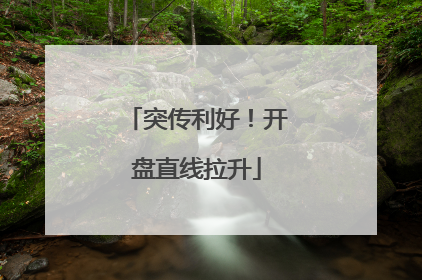 突传利好！开盘直线拉升