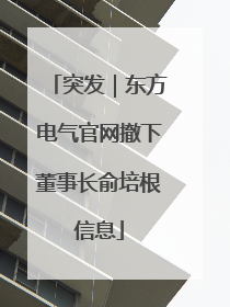 突发｜东方电气官网撤下董事长俞培根信息
