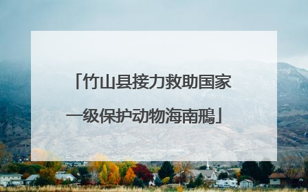 竹山县接力救助国家一级保护动物海南鳽
