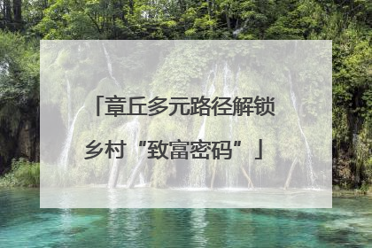 章丘多元路径解锁乡村“致富密码”