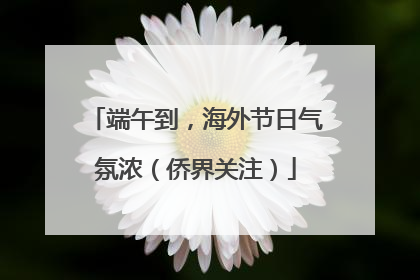 端午到，海外节日气氛浓（侨界关注）