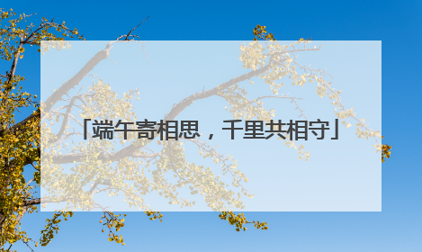 端午寄相思，千里共相守