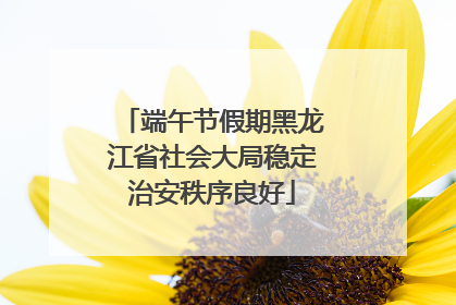 端午节假期黑龙江省社会大局稳定治安秩序良好