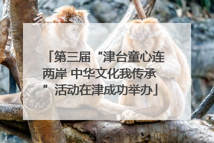 第三届“津台童心连两岸 中华文化我传承”活动在津成功举办