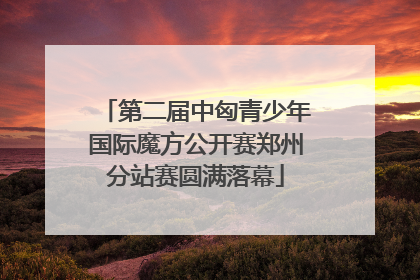 第二届中匈青少年国际魔方公开赛郑州分站赛圆满落幕