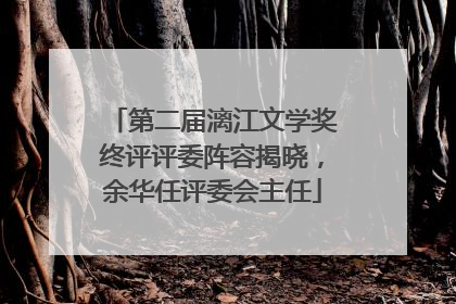 第二届漓江文学奖终评评委阵容揭晓，余华任评委会主任