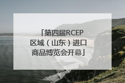 第四届RCEP区域（山东）进口商品博览会开幕