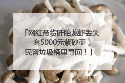 网红带货盱眙龙虾丢失一套5000元紫砂壶，民警垃圾桶里寻回！