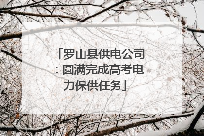 罗山县供电公司：圆满完成高考电力保供任务
