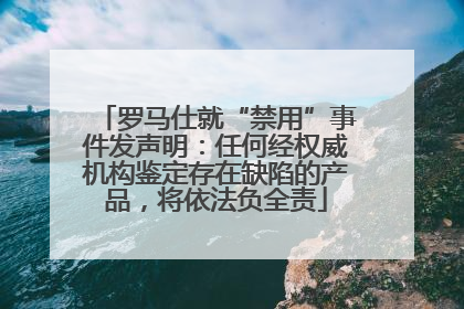 罗马仕就“禁用”事件发声明：任何经权威机构鉴定存在缺陷的产品，将依法负全责