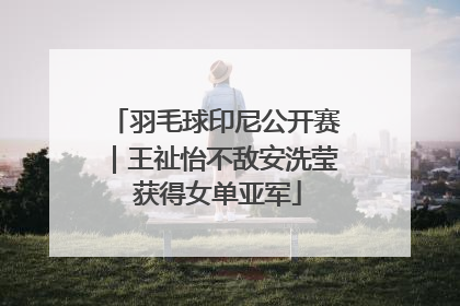 羽毛球印尼公开赛｜王祉怡不敌安洗莹 获得女单亚军
