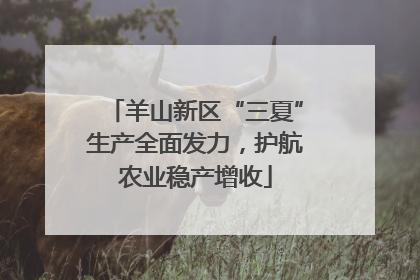 羊山新区“三夏”生产全面发力，护航农业稳产增收