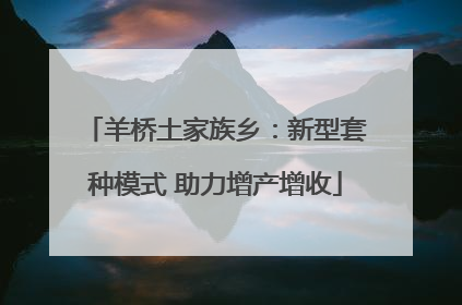 羊桥土家族乡：新型套种模式 助力增产增收