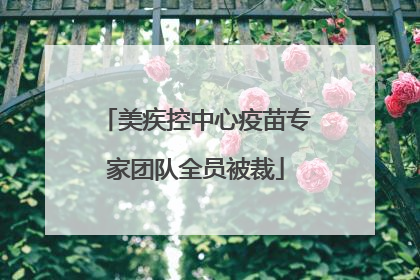 美疾控中心疫苗专家团队全员被裁