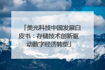 美光科技中国发展白皮书：存储技术创新驱动数字经济转型