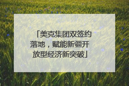 美克集团双签约落地，赋能新疆开放型经济新突破