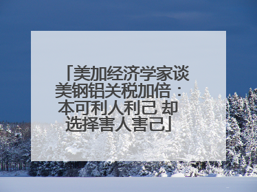 美加经济学家谈美钢铝关税加倍：本可利人利己 却选择害人害己