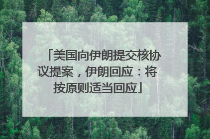美国向伊朗提交核协议提案，伊朗回应：将按原则适当回应