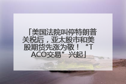 美国法院叫停特朗普关税后，亚太股市和美股期货先涨为敬！“TACO交易”兴起