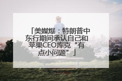 美媒爆：特朗普中东行期间承认自己和苹果CEO库克“有点小问题”