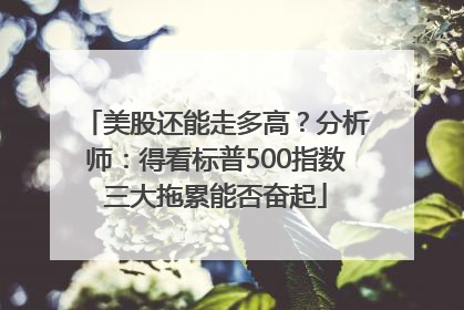 美股还能走多高？分析师：得看标普500指数三大拖累能否奋起