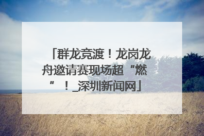 群龙竞渡！龙岗龙舟邀请赛现场超“燃”！_深圳新闻网
