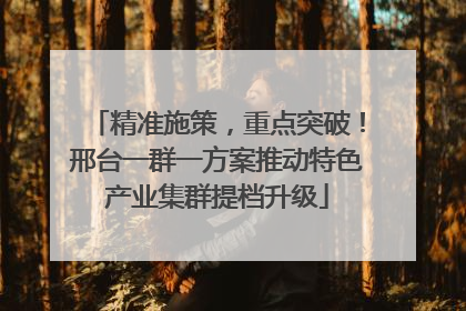 精准施策，重点突破！邢台一群一方案推动特色产业集群提档升级