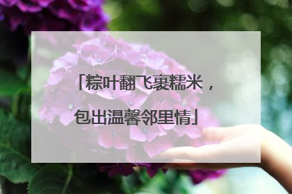 粽叶翻飞裹糯米，包出温馨邻里情