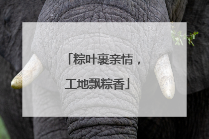 粽叶裹亲情，工地飘粽香