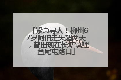 紧急寻人！柳州67岁阿伯走失超两天，曾出现在长塘镇鲤鱼尾屯路口