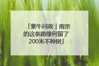 紫牛问政｜南京的这条路缘何留了200米不种树