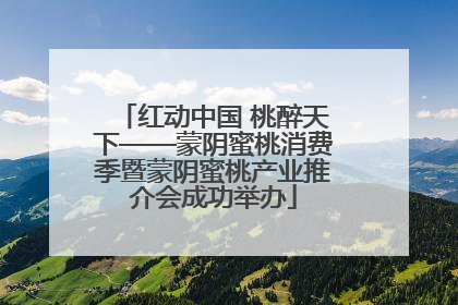 红动中国 桃醉天下——蒙阴蜜桃消费季暨蒙阴蜜桃产业推介会成功举办