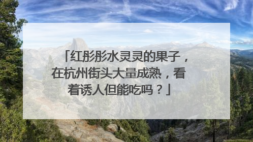红彤彤水灵灵的果子，在杭州街头大量成熟，看着诱人但能吃吗？